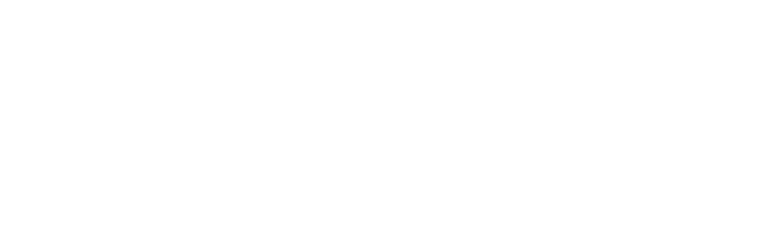 Punch Newspaper
