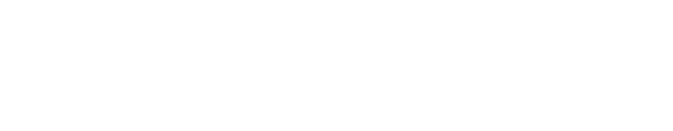 Tony Elumelu Foundation
